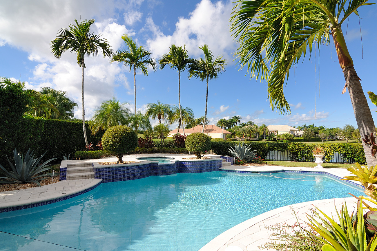 Beautiful Home with Palms